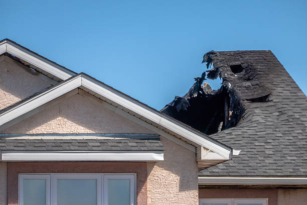 Top rated local Board Up Services specialists in Ogilvie, MN